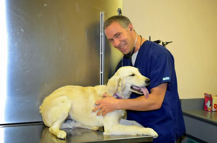 Harris Pet Hospital Picture 3