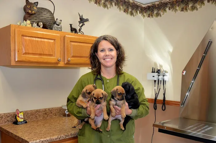 Harris Pet Hospital Picture 9