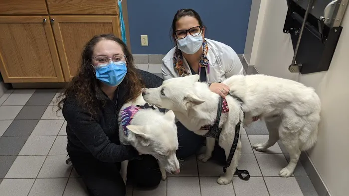 Harris Pet Hospital: Keen Julie DVM Picture 1