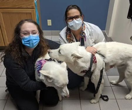 Harris Pet Hospital: Keen Julie DVM