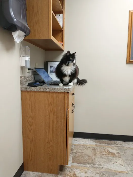 Westosha Veterinary Hospital Picture 5