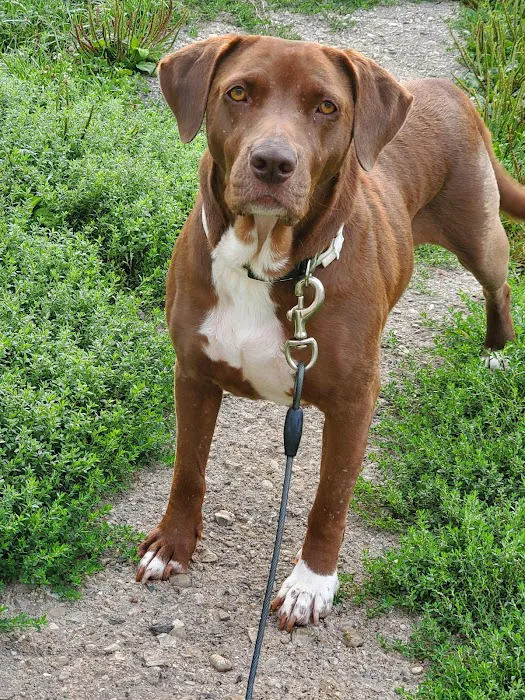 Westosha Veterinary Hospital Picture 8