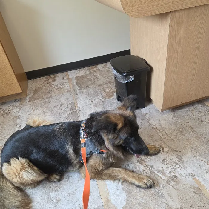 Westosha Veterinary Hospital Picture 6