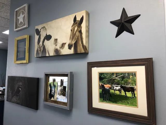 Harvard Veterinary Clinic Picture 1