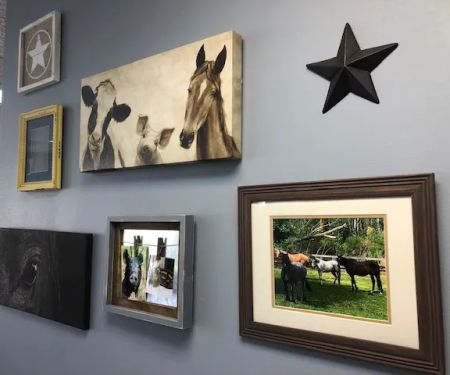 Harvard Veterinary Clinic