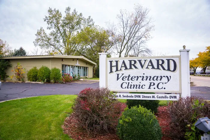 Harvard Veterinary Clinic Picture 7