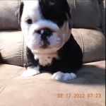 Reproduction Resources Inc