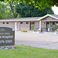 Geneva Lakes Animal Hospital ico
