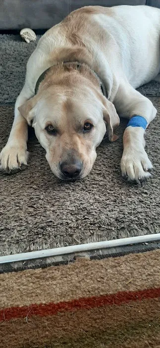 Geneva Lakes Animal Hospital Picture 8