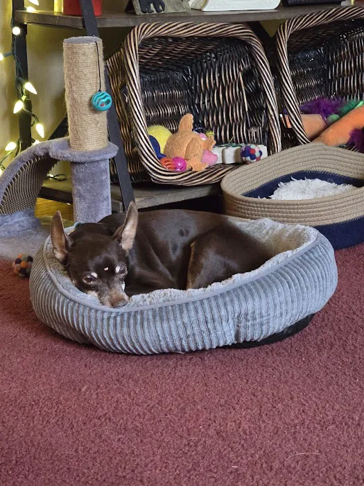 Witte's Natural Vet Care Picture 7