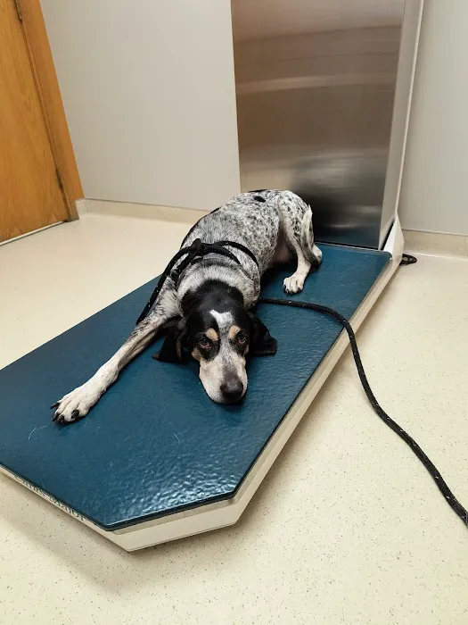 Frost Family Pet Clinic Picture 3