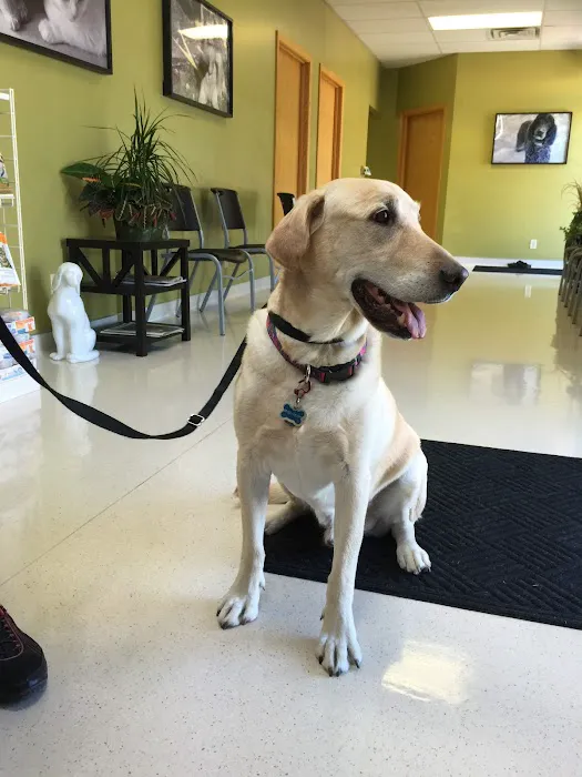 Frost Family Pet Clinic Picture 7