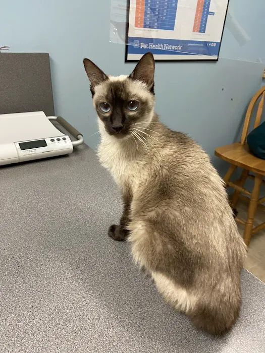 Willow Ridge Animal Hospital Picture 5