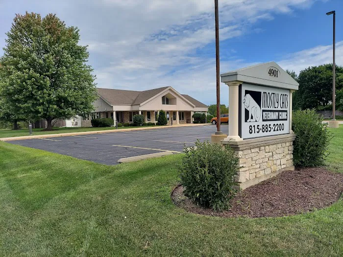 Willow Ridge Animal Hospital Picture 9
