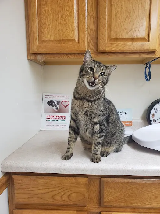 Prairie Side Veterinary Hospital Picture 2