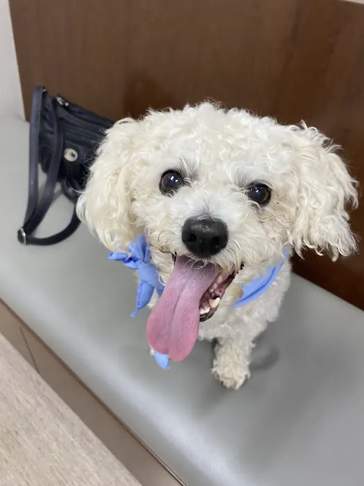 Care Animal Hospital of Pleasant Prairie Picture 6