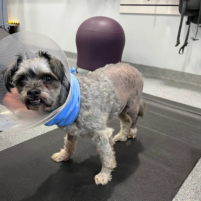 Care Animal Hospital of Pleasant Prairie Picture 9