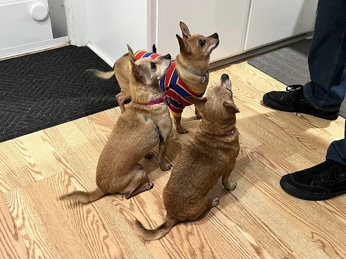 Care Animal Hospital of Pleasant Prairie Picture 8