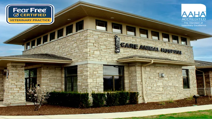 Care Animal Hospital of Pleasant Prairie Picture 10
