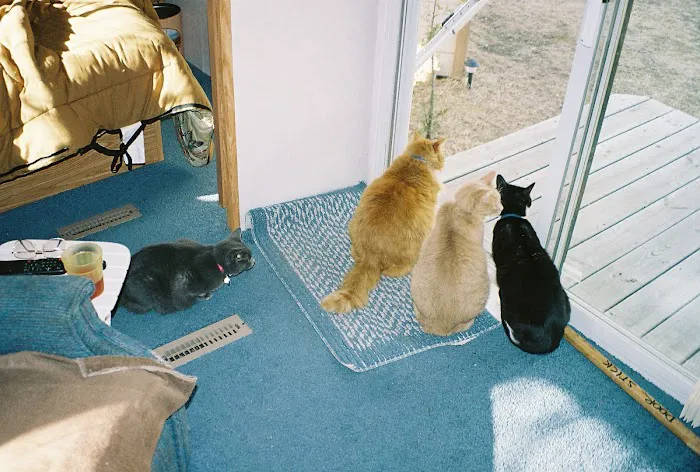 Kenosha Animal Hospital Picture 1