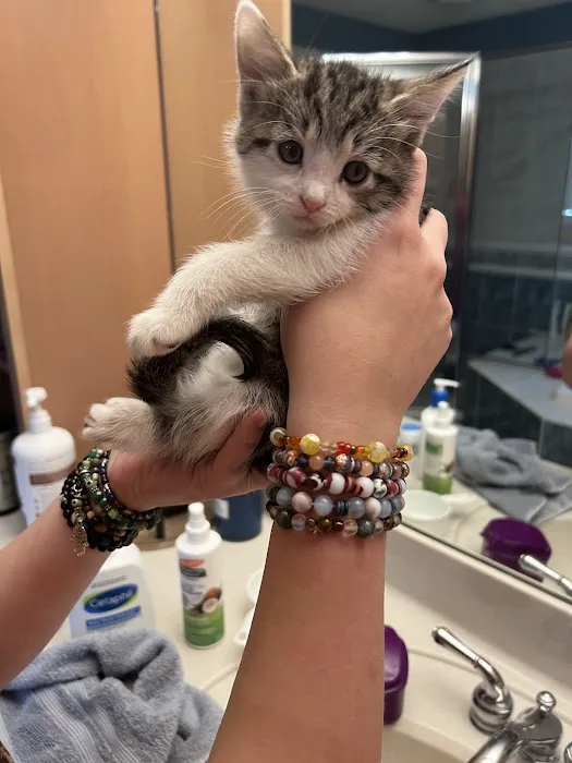 Kenosha Animal Hospital Picture 3