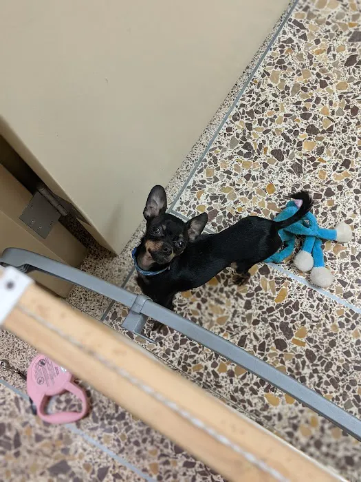 Kenosha Animal Hospital Picture 6
