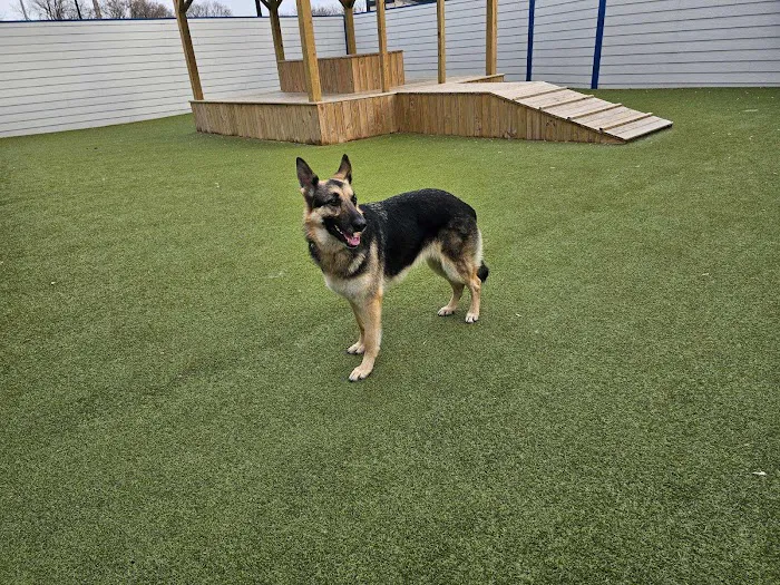 Kenosha Animal Hospital Picture 10
