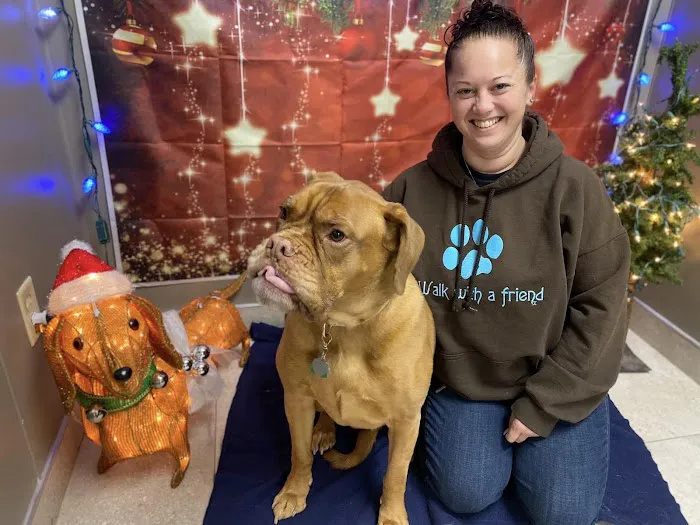 Kenosha Animal Hospital Picture 9