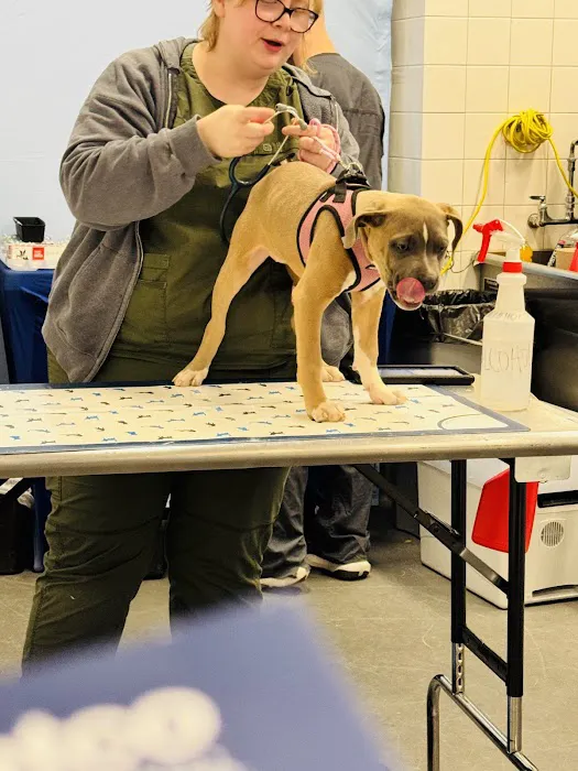 Vetco Vaccination Clinic Picture 2