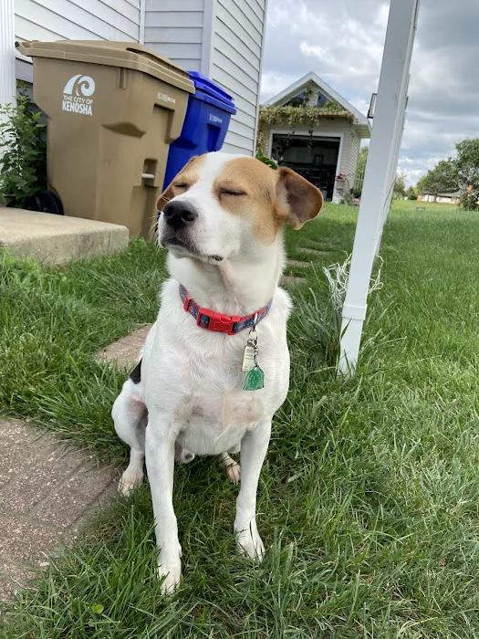 Pleasant Prairie Animal Hospital Picture 7
