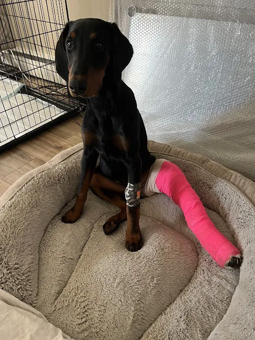 Pleasant Prairie Animal Hospital Picture 10