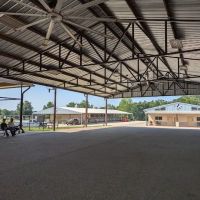 Texas Equine Hospital ico