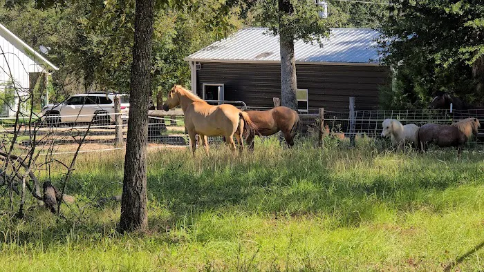 Texas Equine Hospital Picture 5