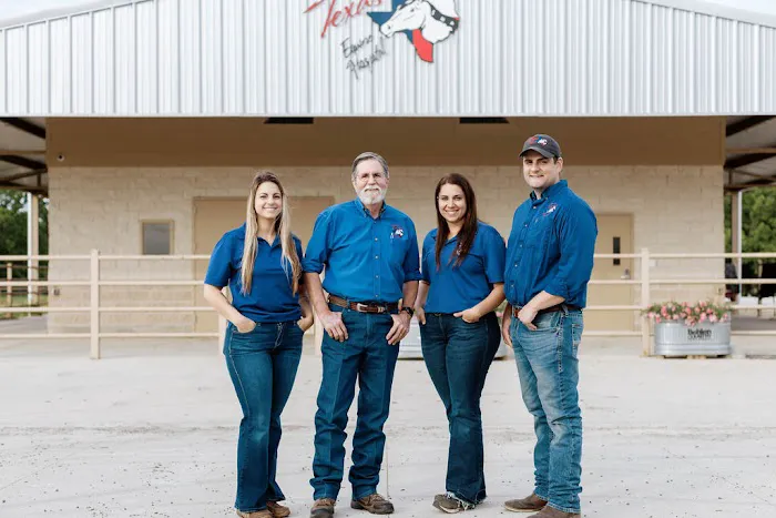 Texas Equine Hospital Picture 3