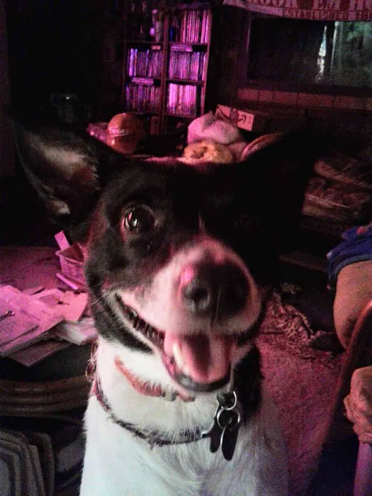 Trinity Animal Clinic Picture 9