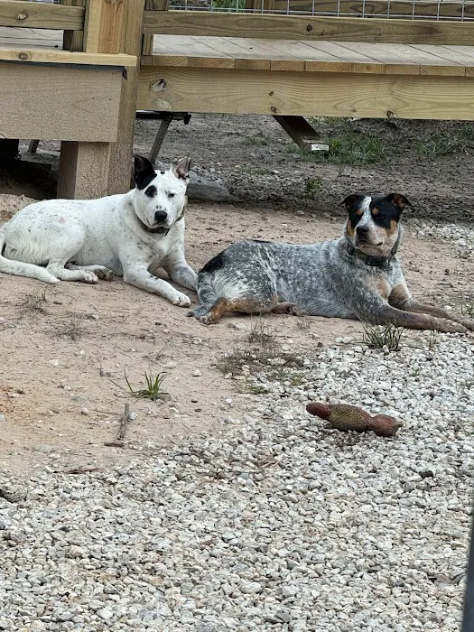 Lakeside Pet Clinic Inc Picture 1