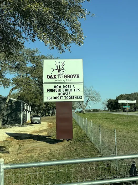 Oak Grove Veterinary clinic Picture 9
