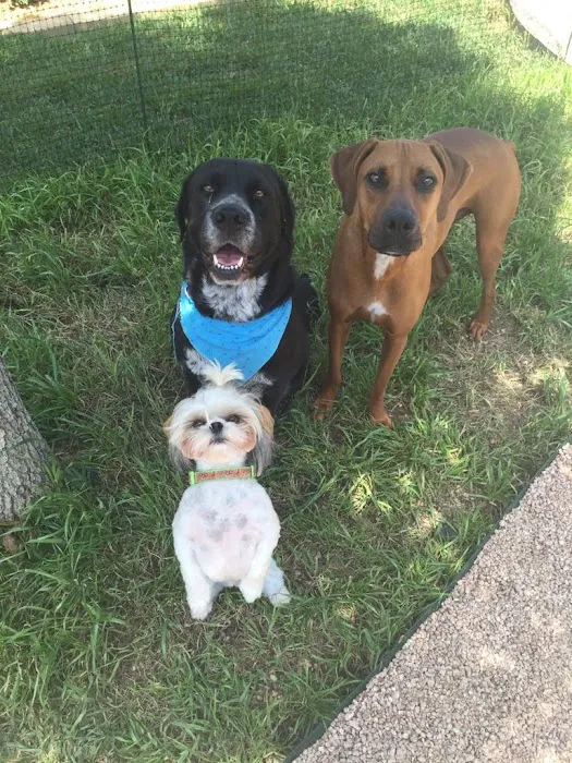 El Campo Animal Hospital Picture 6