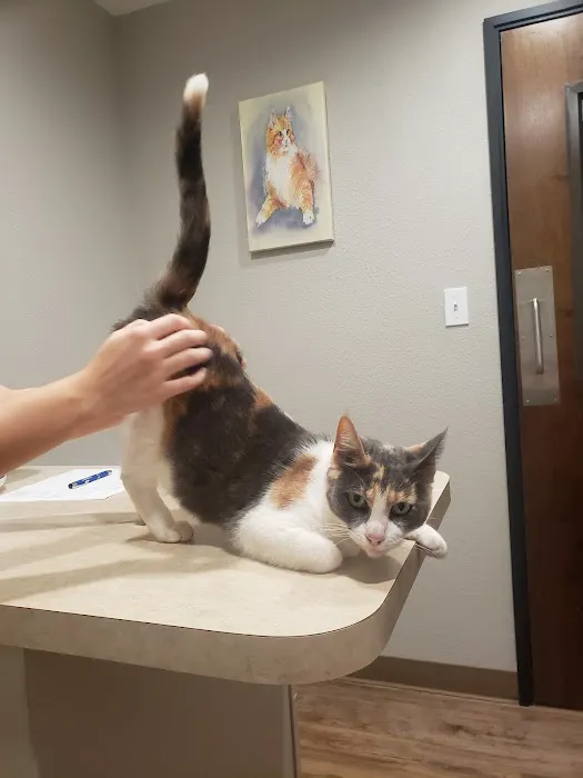 El Campo Animal Hospital Picture 9