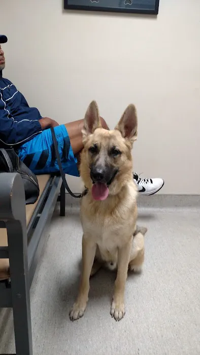 Palm Plaza Pet Hospital Picture 6