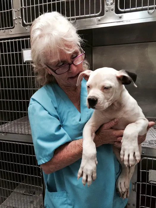 High Desert Animal Care Hospital Picture 5