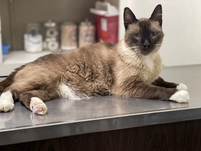 High Desert Animal Care Hospital Picture 6