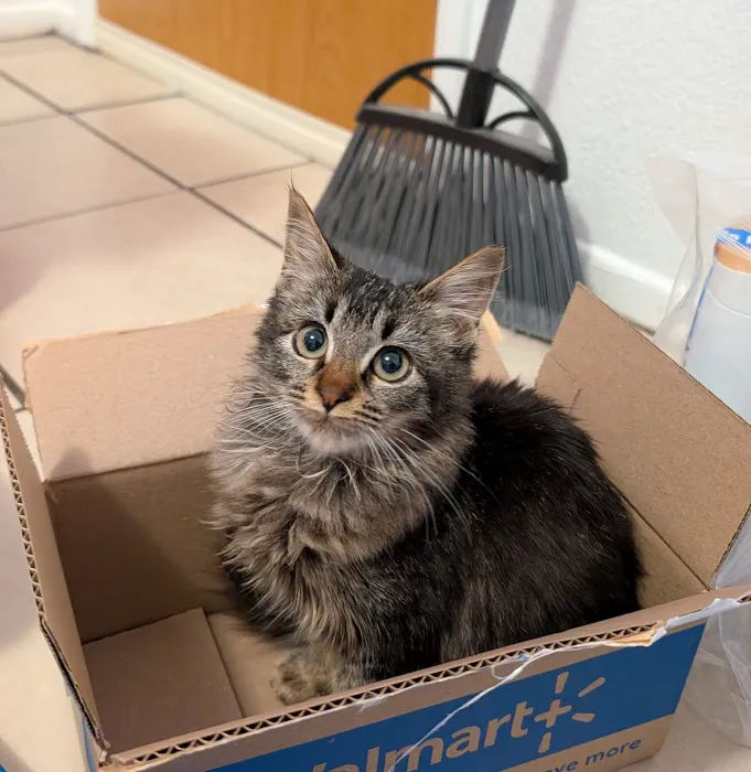 Greater Good Veterinary Care Picture 3