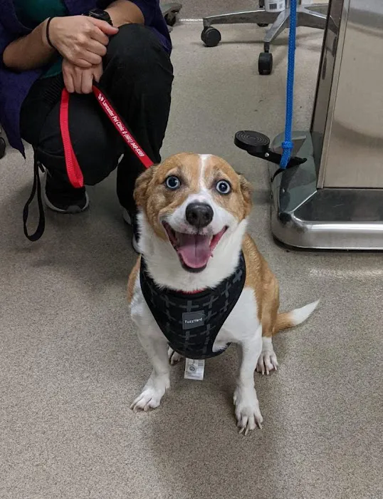 Lancaster Pet Clinic Picture 5