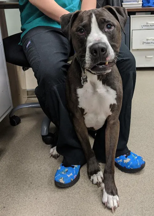 Lancaster Pet Clinic Picture 8