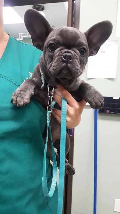 Lancaster Pet Clinic Picture 7