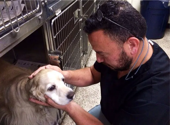 North Valley Veterinary Clinic: Bosma Larry F DVM Picture 7