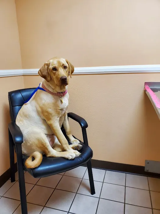 North Valley Veterinary Center And Boarding Picture 6