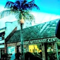 Pacific Palisades Veterinary Center ico