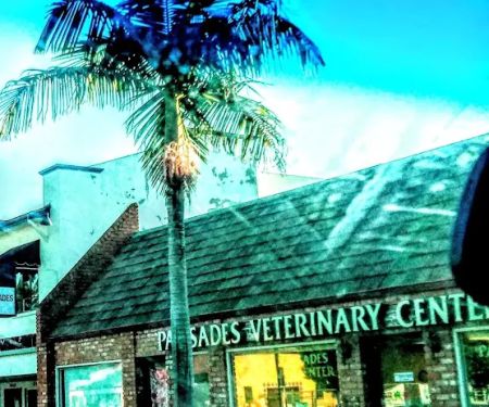 Pacific Palisades Veterinary Center